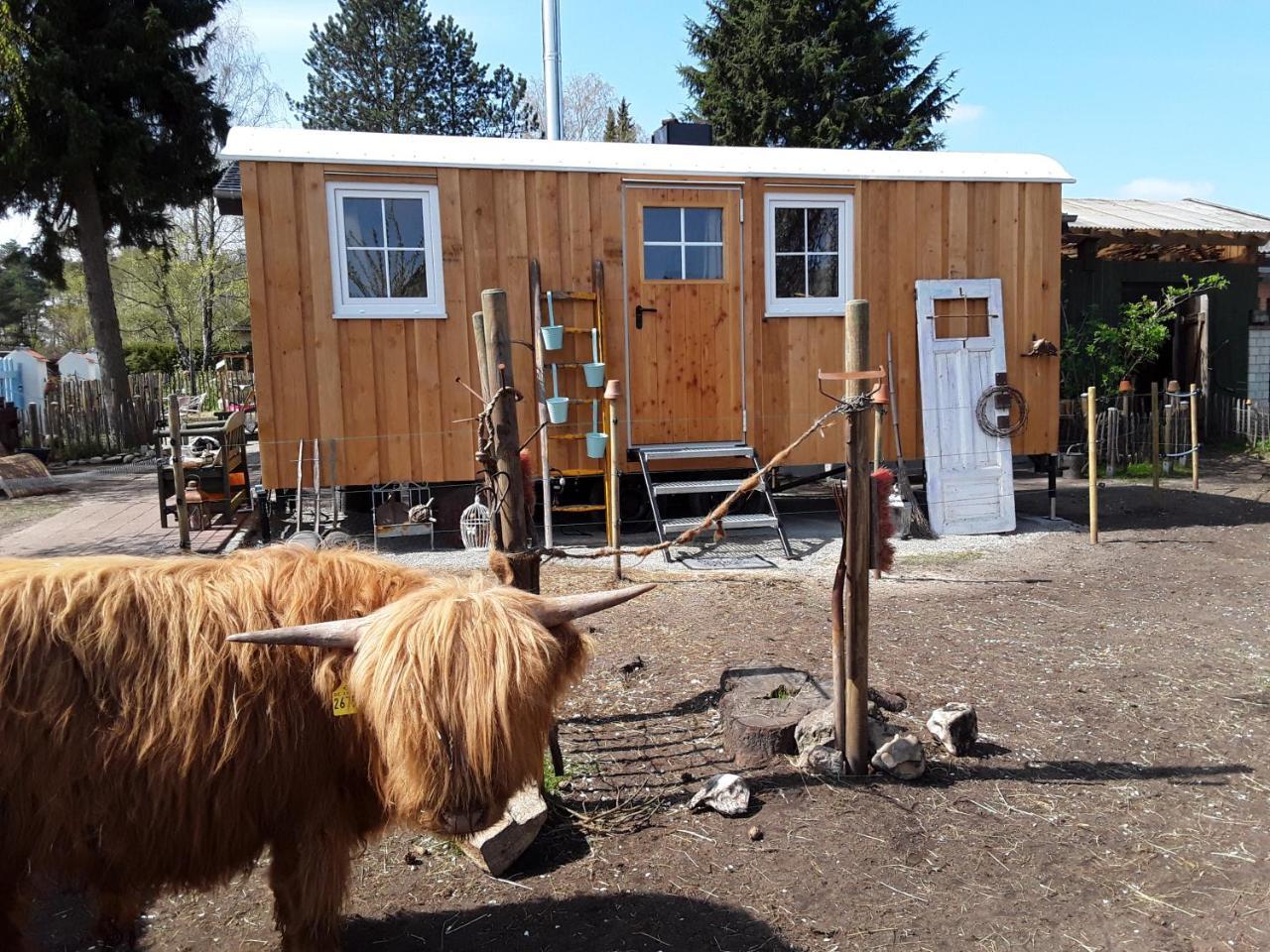 Schaferwagen Auf’m Minibauernhof in Munster in Munster, Germany
