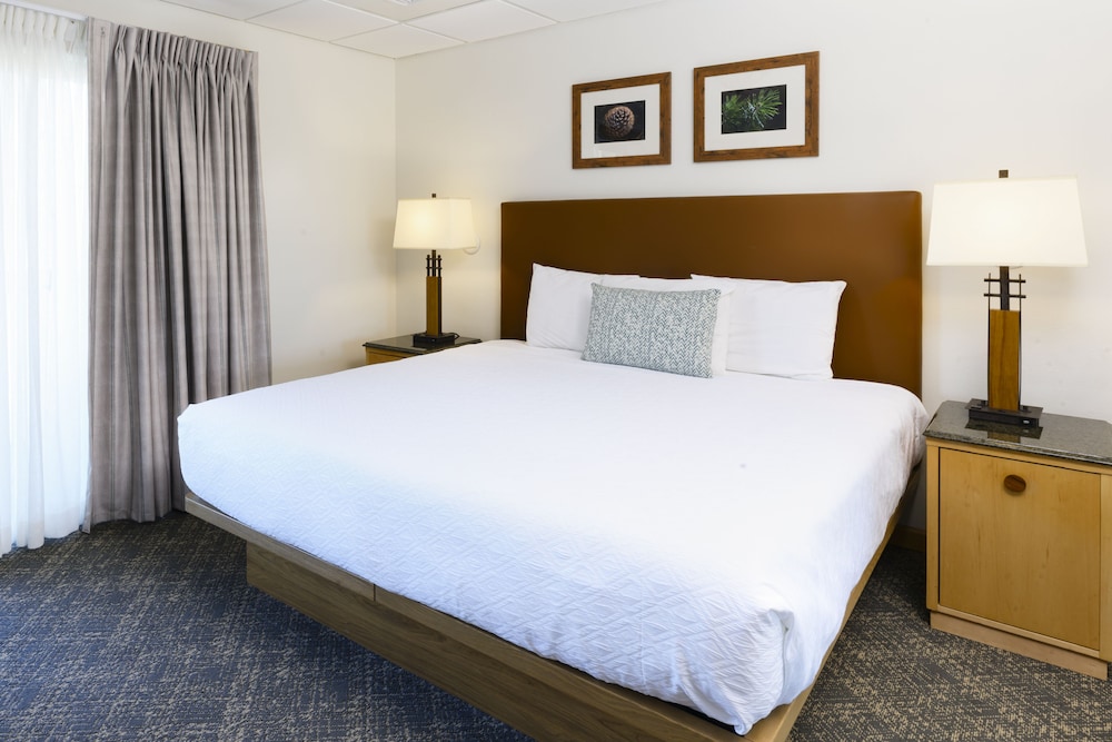 Stoneridge Resort - photo 6