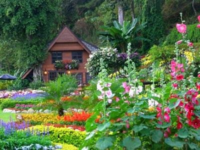 Krisdadoi Resort Chiang Mai in Hang Dong, Thailand