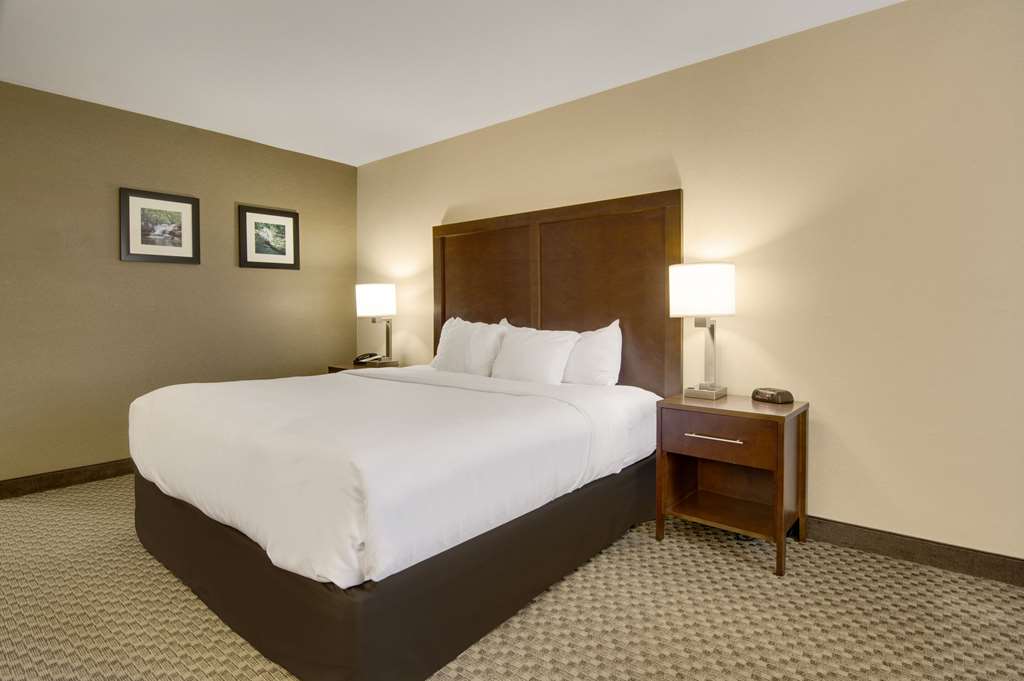 Comfort Inn Airport - photo 10