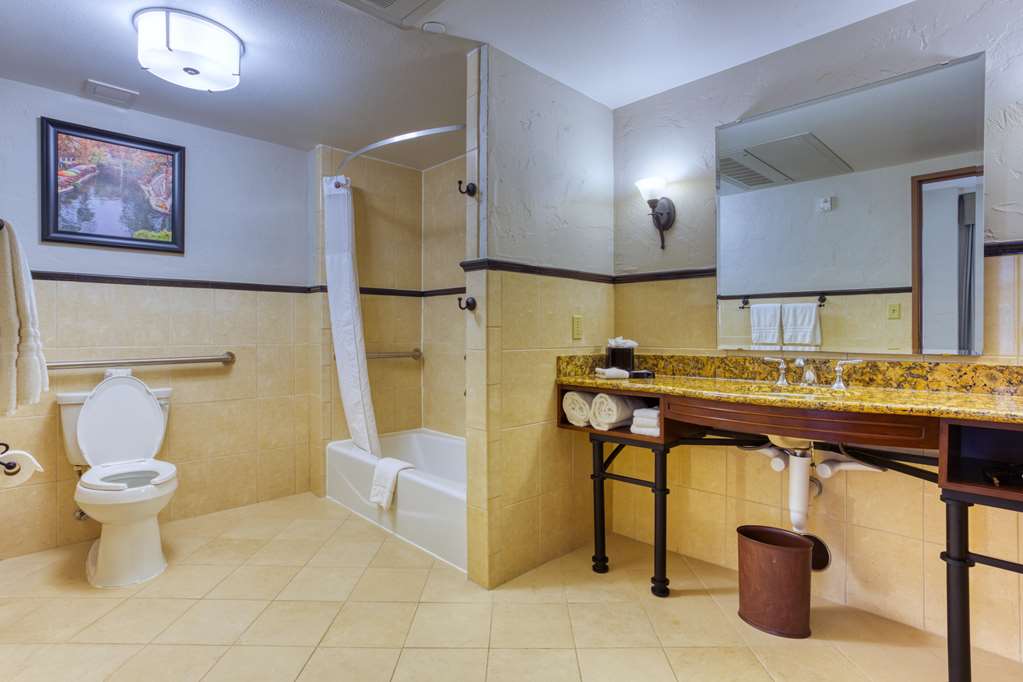 Drury Plaza Hotel San Antonio Riverwalk - photo 108