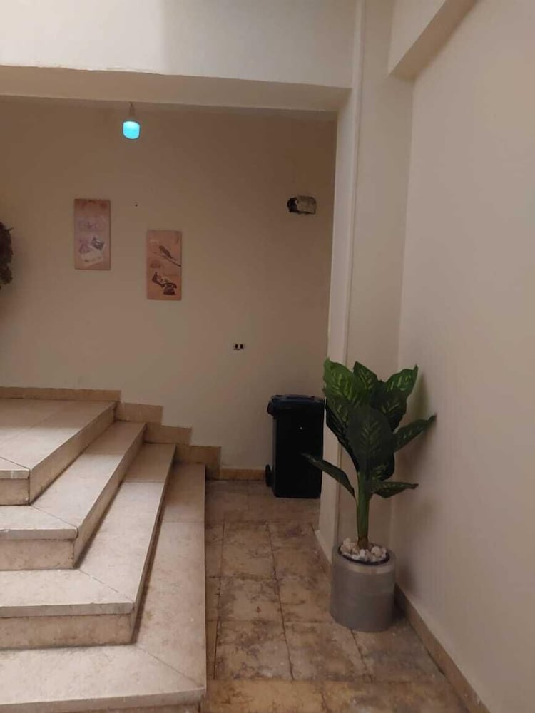 Chez l’ami hotel — Giza — photo 3