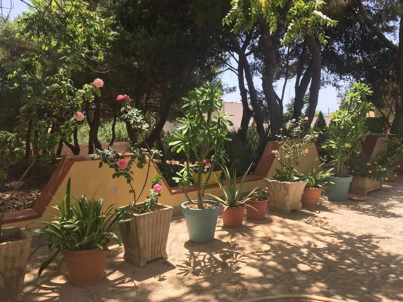 Mediterraneo — Castelvetrano — photo 3