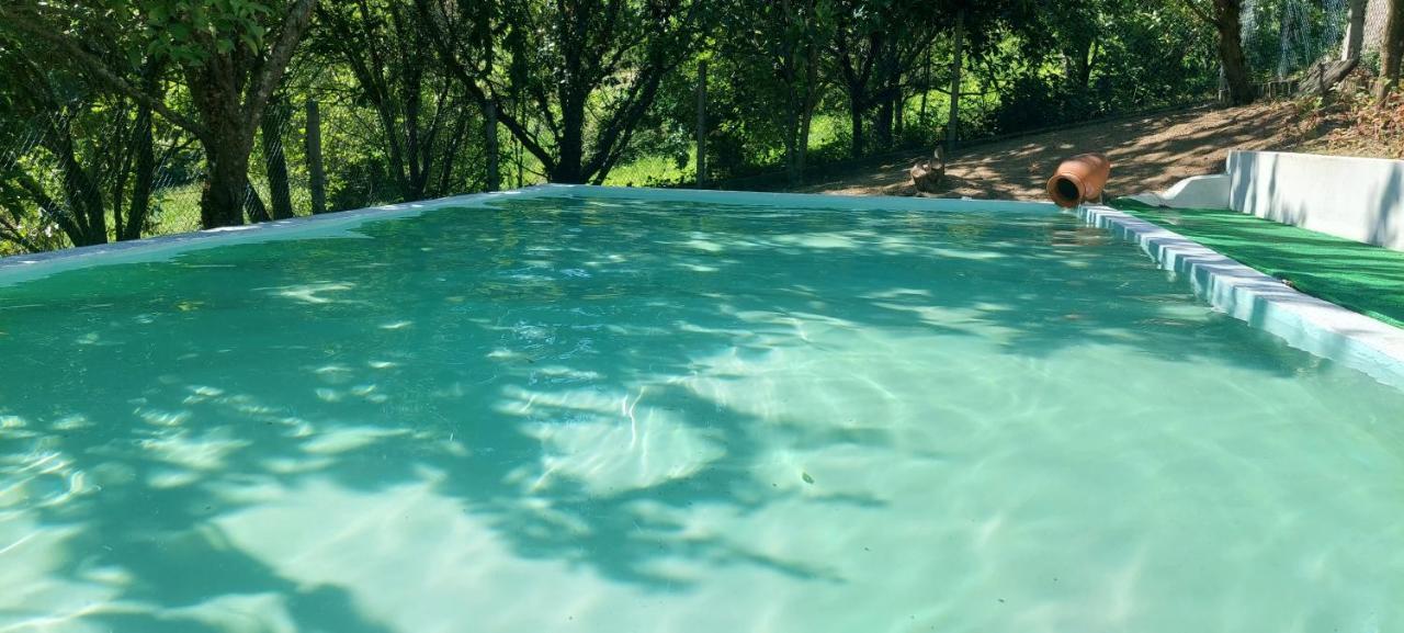 Quinta dos Castros Douro — Baiao — photo 2