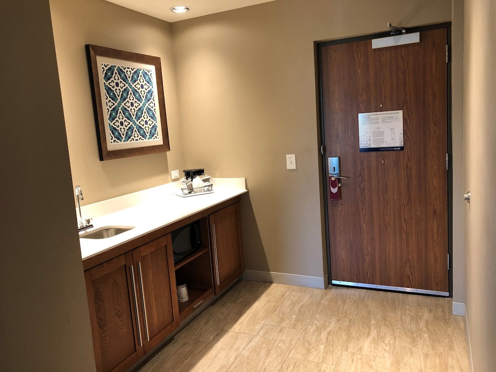 Hampton Inn & Suites Tampa Busch Gardens Area - photo 24