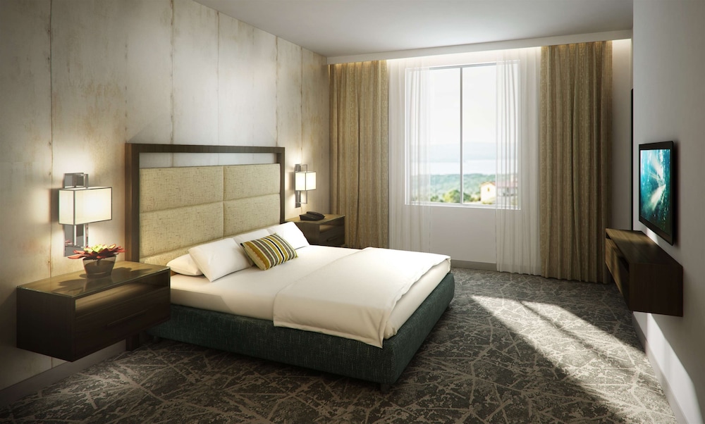 Embassy Suites by Hilton San Antonio Brooks Hotel & Spa - photo 7