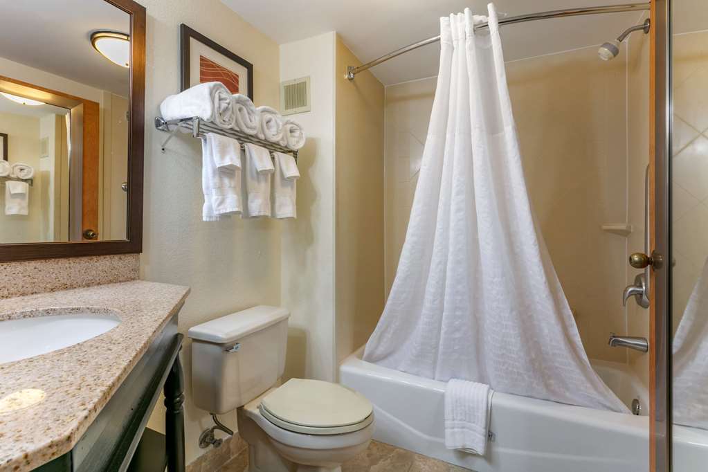 Comfort Inn Chattanooga Downtown Southside - photo 22