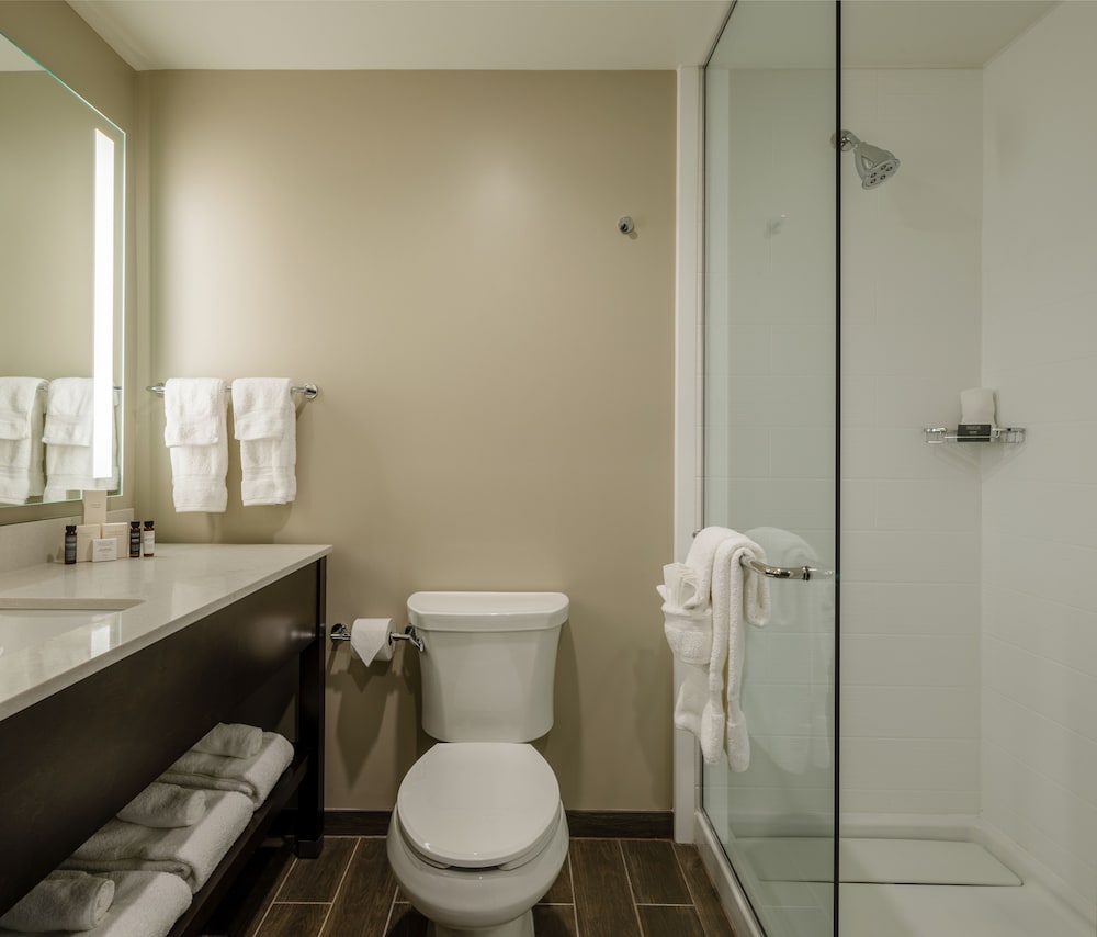 Hotel Madison & Shenandoah Conference Ctr - photo 20