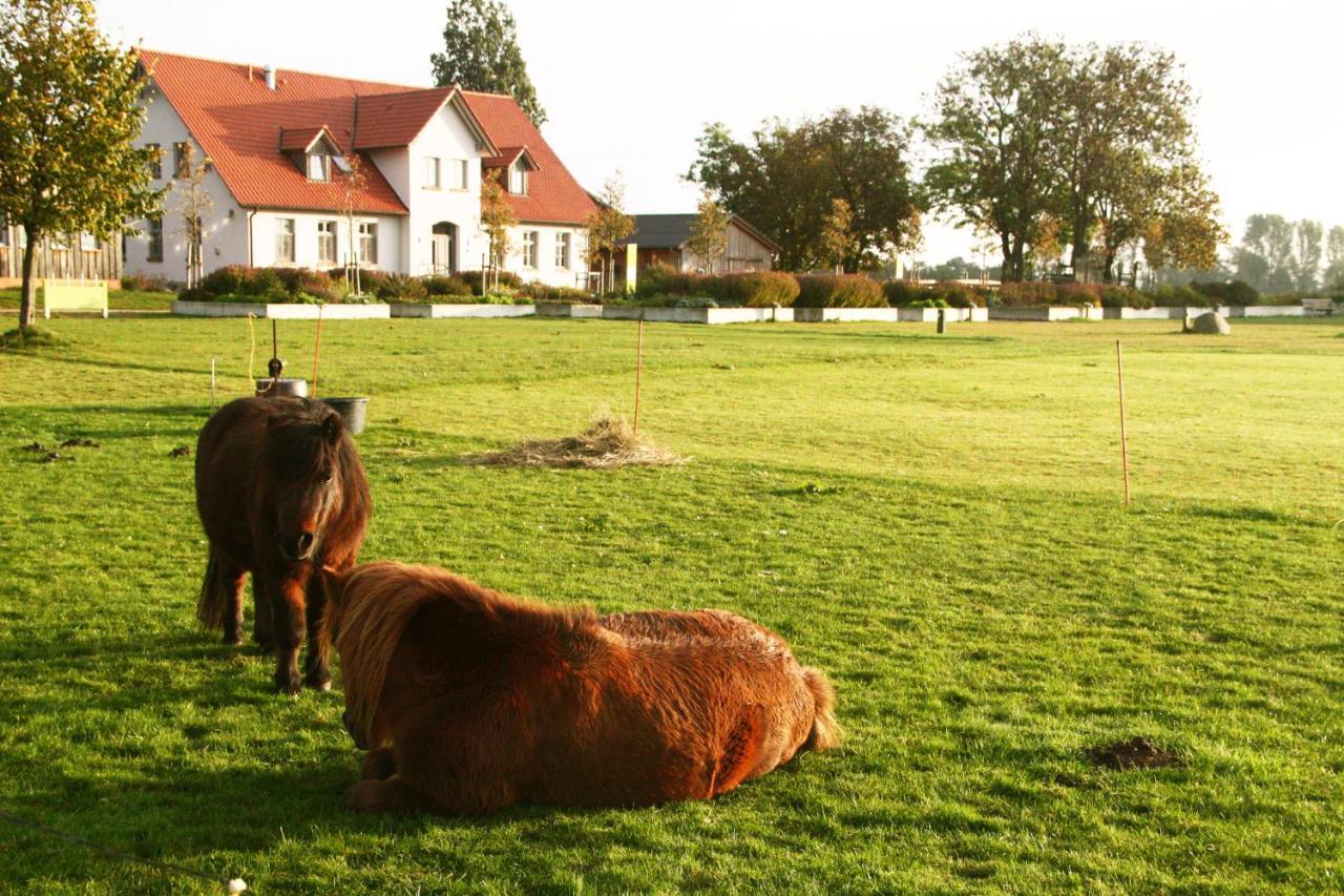 Gutshaus Landwert Hof — hotel in Reinberg