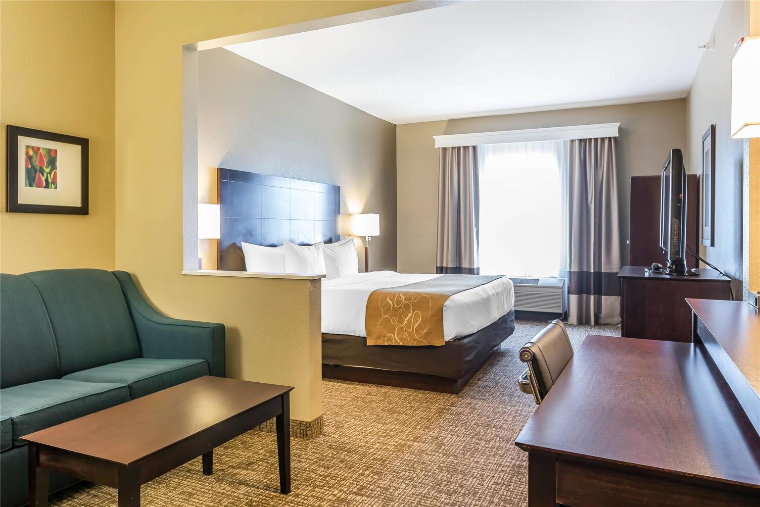 Comfort Suites Fort Wayne North - photo 10