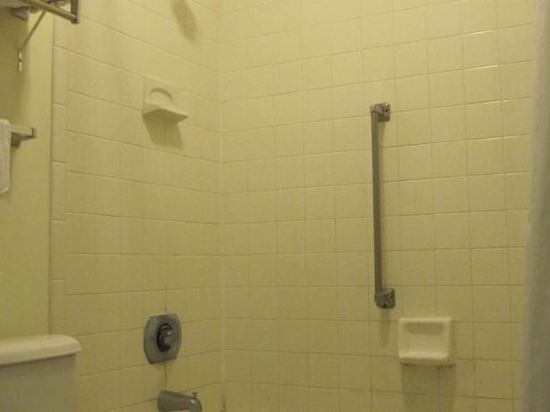 Regency Inn Of Naperville - photo 23