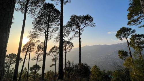 Cloud Nine Murree Hut1 — Murree — photo 3