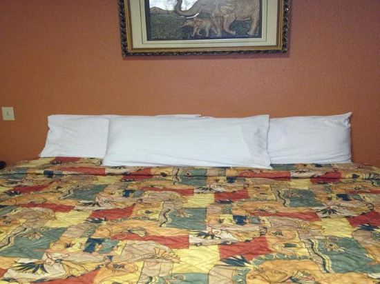 Blue Diamond Inn - photo 5