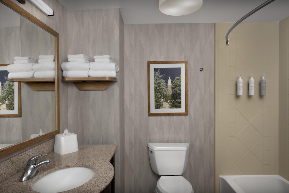 Hampton Inn & Suites Huntersville - photo 28