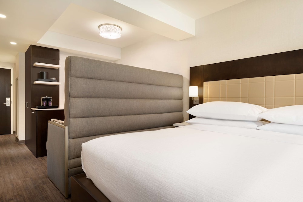Embassy Suites by Hilton New York Manhattan Times Square - photo 27