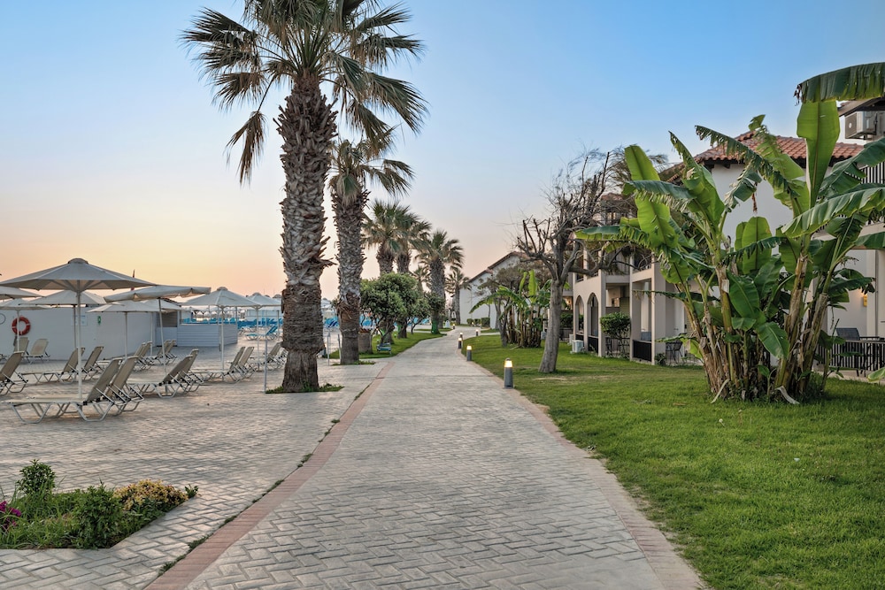 מראה חיצוני