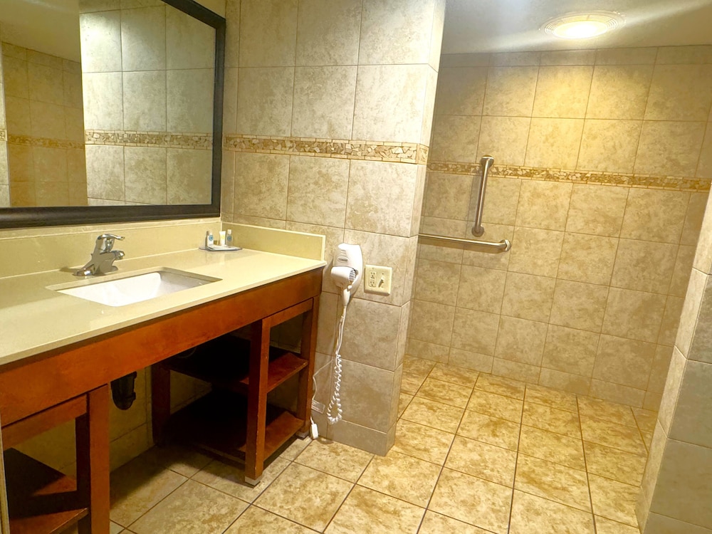 Comfort Inn Salt Lake City Downtown - photo 54