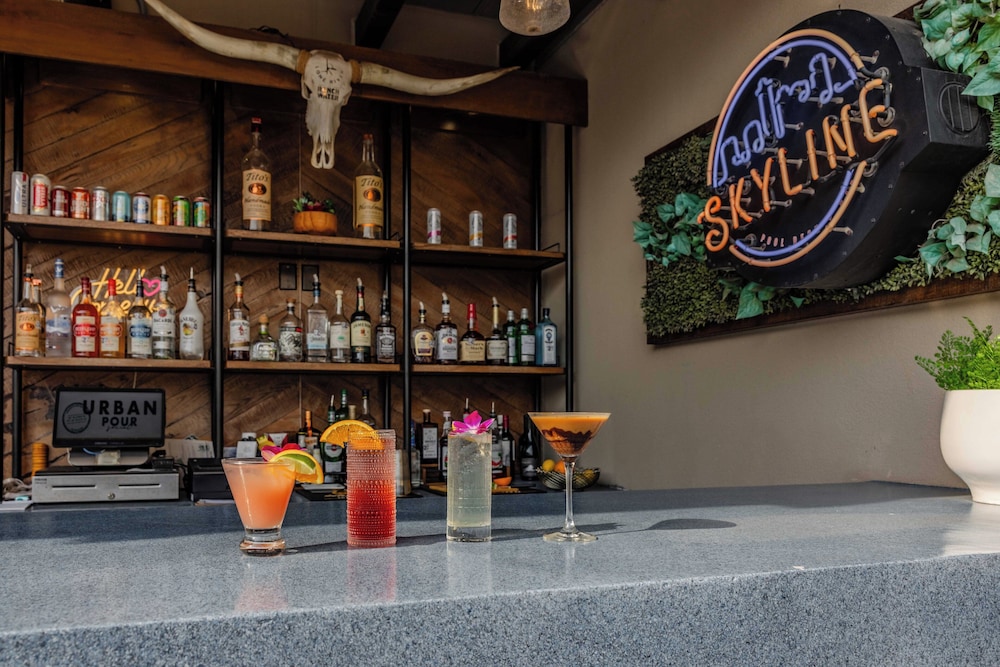 Hotel Indigo Austin Downtown University by IHG - photo 52