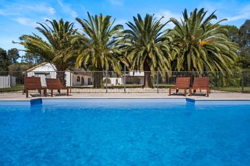 Las Palmas Hunter Valley Estate 11m Pool Kangaroos Fire Pit Playground — hotel in Greta