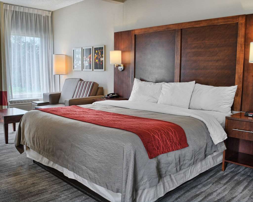 Comfort Inn Ruther Glen near Kings Dominion - photo 21