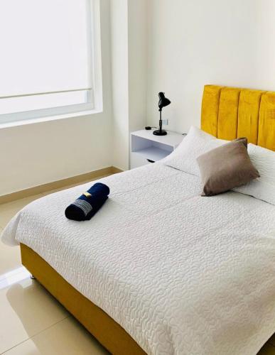 CasaColibri in Pasto, Colombia