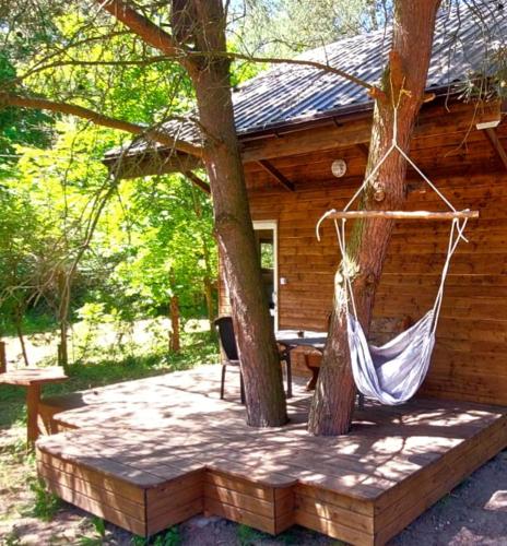 Wypoczynek Hnatczak in Debrzno, Poland