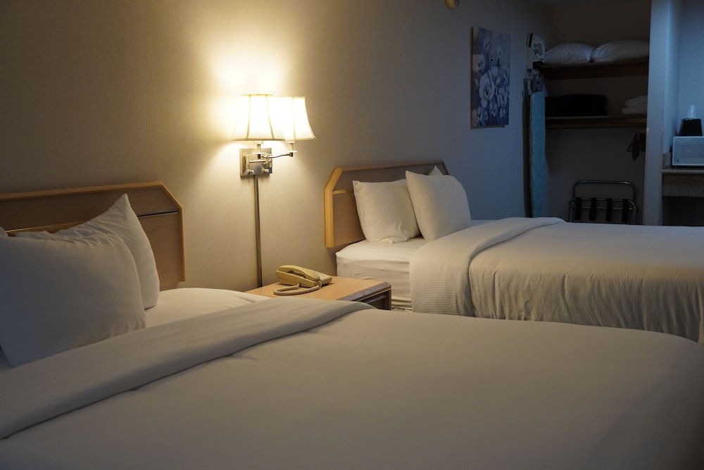Timberland Inn & Suites - photo 33