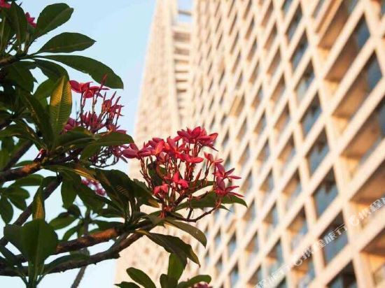 CoCo Hotel - carbon neutral hotel in Beihai