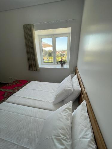 Quinta da Mouracha — Penamacor — photo 4