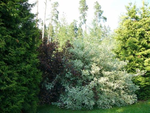 Hotelli Aliisa — Loimaa — photo 2