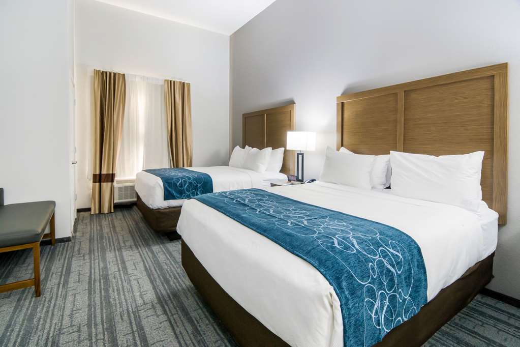 Comfort Suites DeSoto Dallas South - photo 32