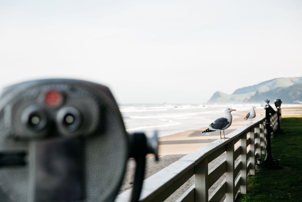 Surftides Lincoln City - photo 46