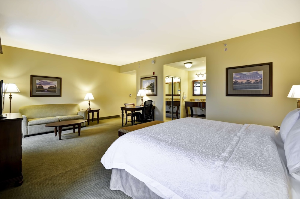 Hampton Inn & Suites North Charleston University Blvd - photo 10