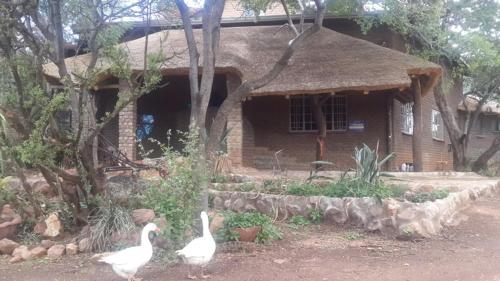 Engedi Herberg Rustenburg in Rustenburg, South Africa