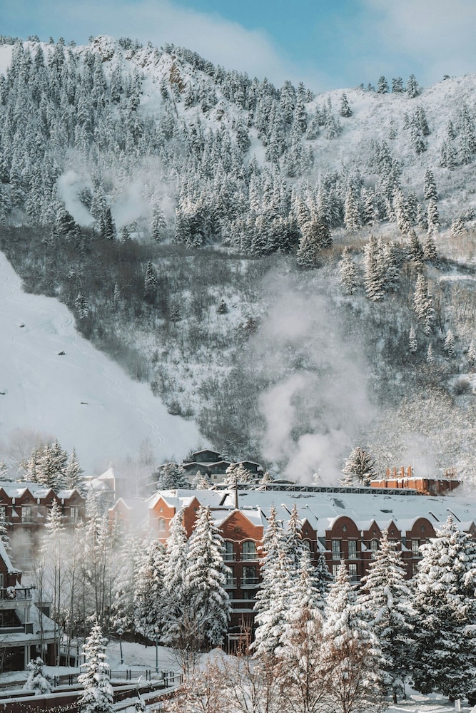 The St. Regis Aspen Resort - photo 190