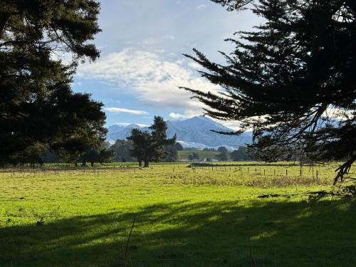 Bellbird Hideaway - last minute hotel in Unknown City