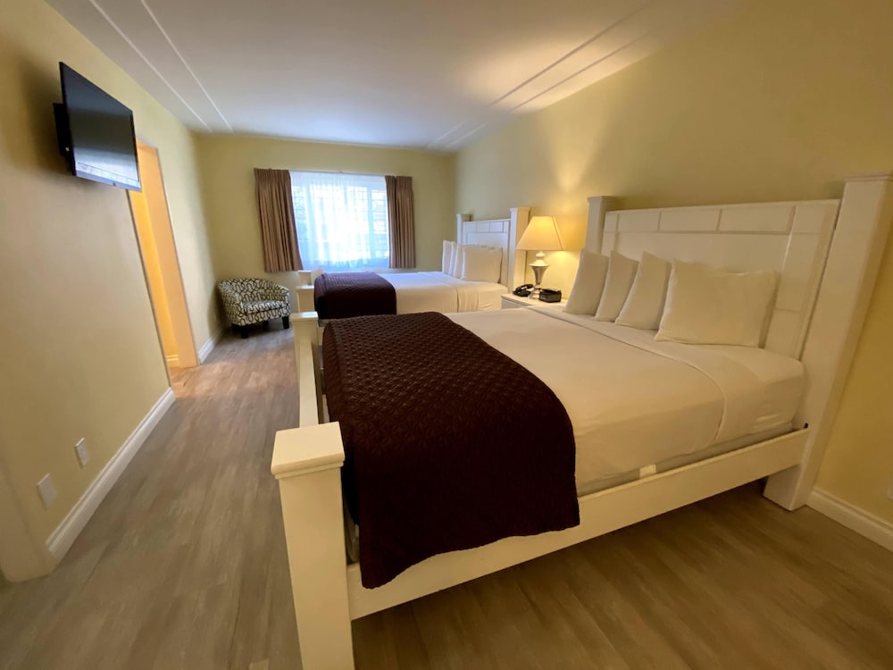 Hollywood Celebrity Hotel - photo 29