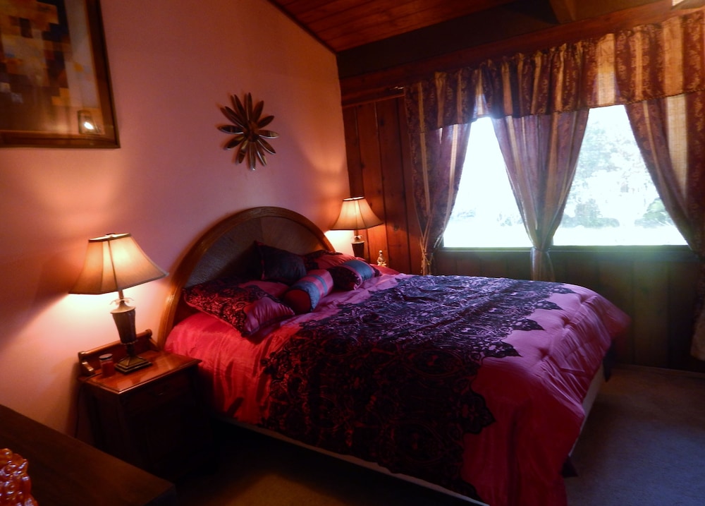 Fern Forest Getaway - photo 19
