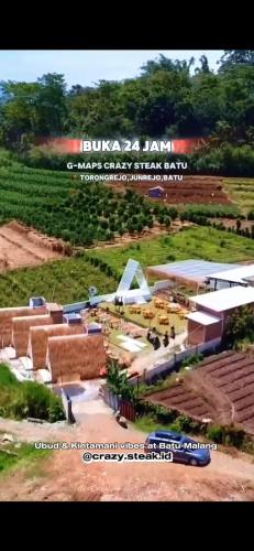 Crazy Steak Resort Glamping Villa Resto 24h — Batu — photo 3