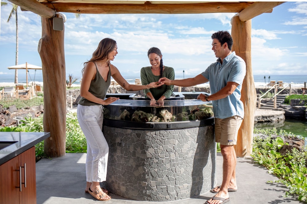 Four Seasons Resort Hualalai - photo 122