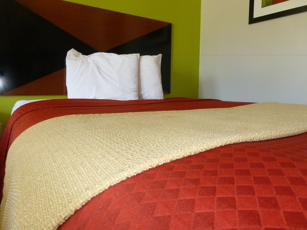 Coach Inn - photo 14