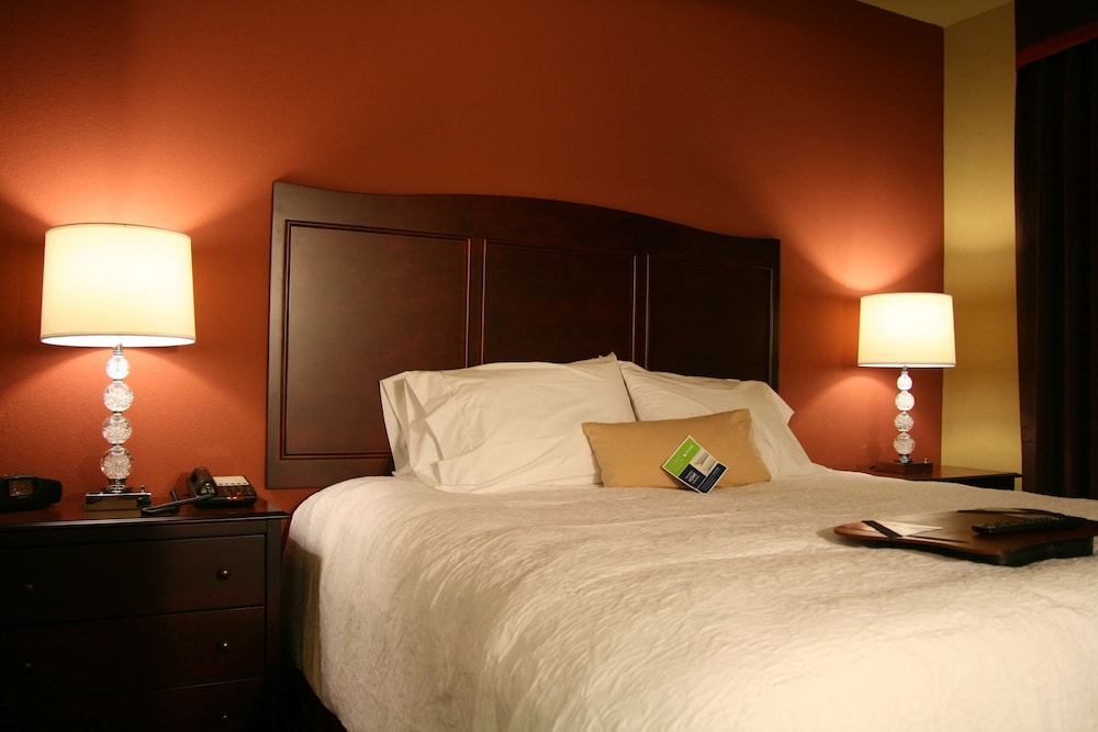 Hampton Inn & Suites Mission - photo 8