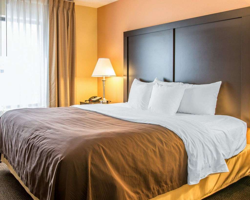 Quality Inn & Suites Niles - photo 61