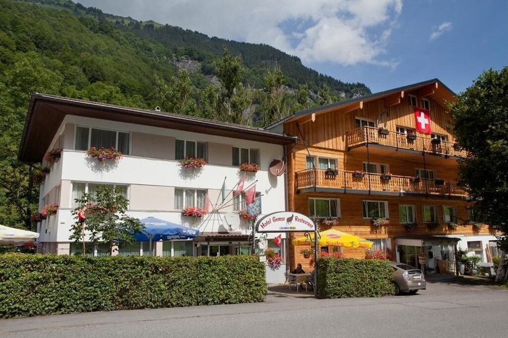 Hotel Gemse - carbon neutral hotel in Zurich