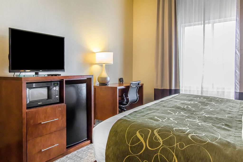 Comfort Suites Richmond - photo 23