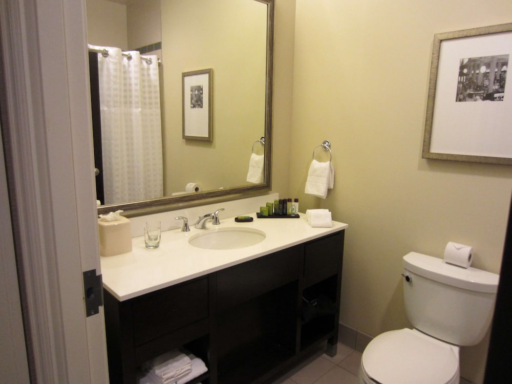 Embassy Suites by Hilton St. Louis Downtown - photo 26