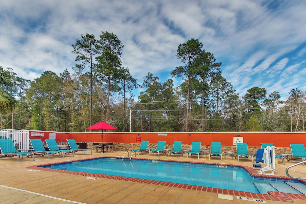 TownePlace Suites by Marriott Mobile Saraland - photo 28