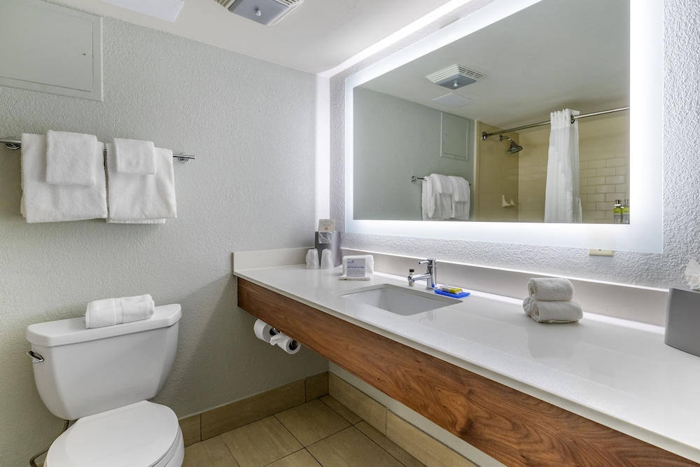 Holiday Inn Express Cape Coral Fort Myers Area by IHG - photo 23