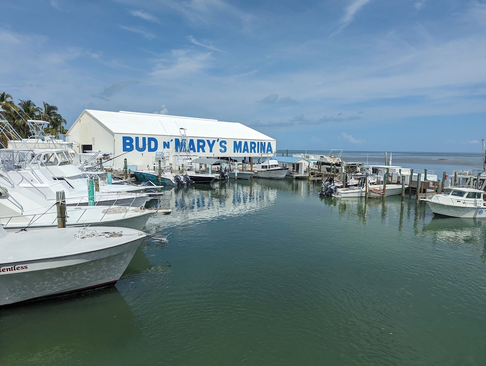 Bud N' Mary's Fishing Marina - photo 139