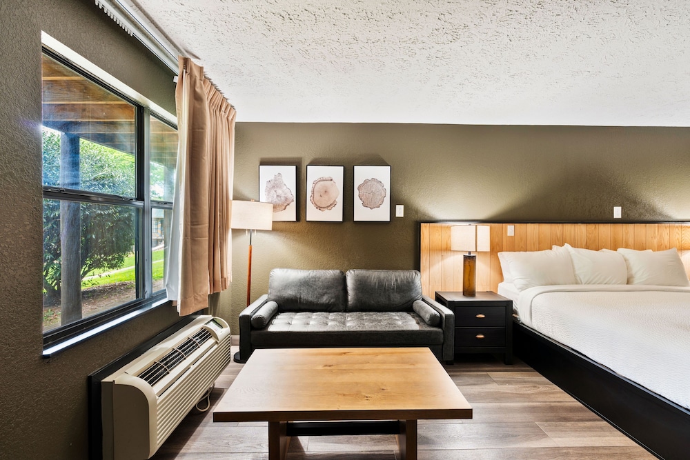 Tremont Lodge & Resort - photo 103